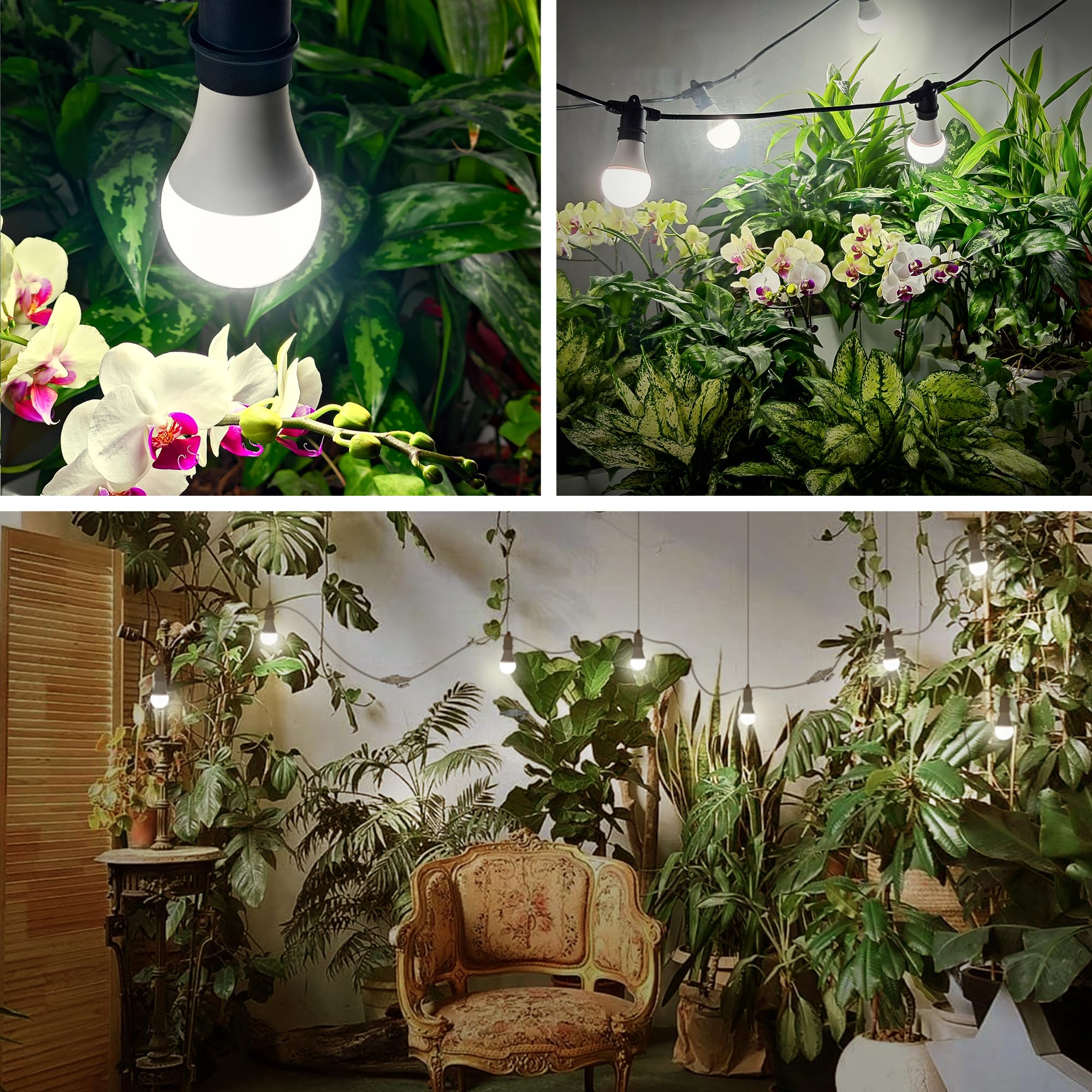 Amazon.com : Hanging Grow Light 5000K, Briignite 3 Grow Light